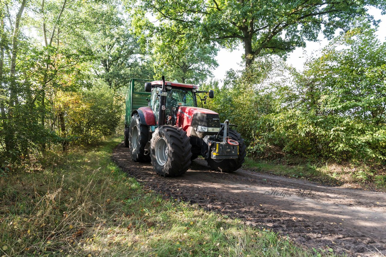 Bild 208 - Maisernte